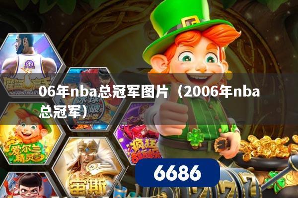 06年nba总冠军图片（2006年nba总冠军）